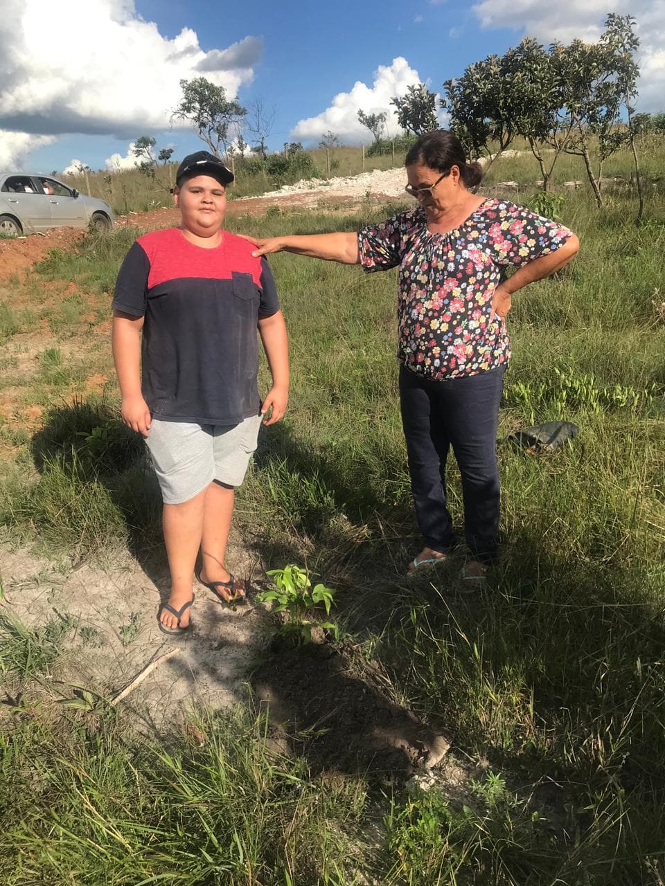 Plantando acácia